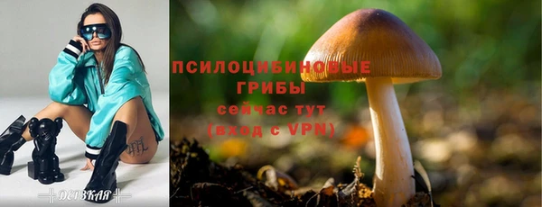 амф Алексеевка