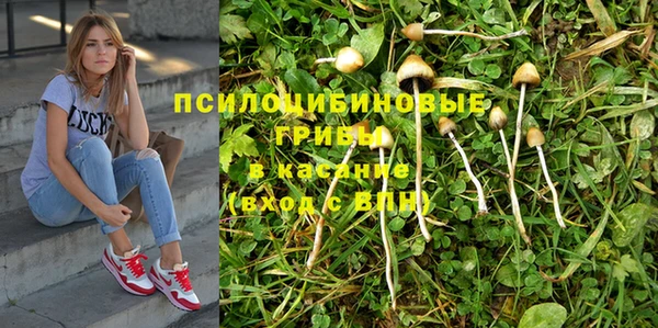 jwh Алзамай